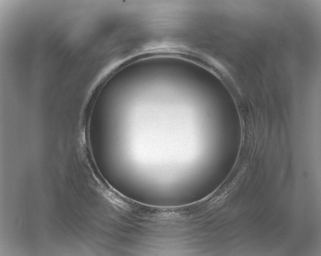 X0000061141462200511181155