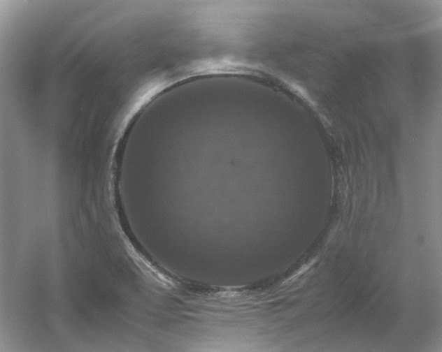 X0000061141463200511181155