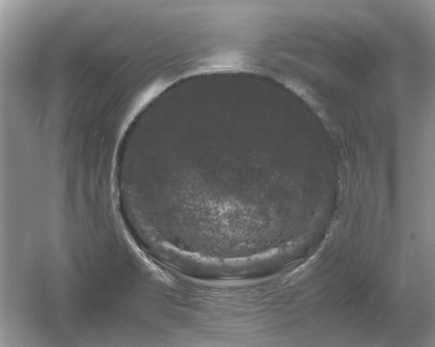 X0000061141469200511181155