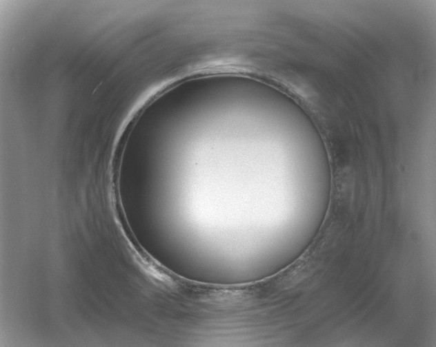 X0000061141470200511181155