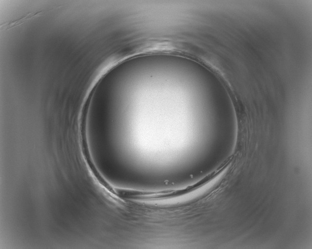 X0000061141475200511181155