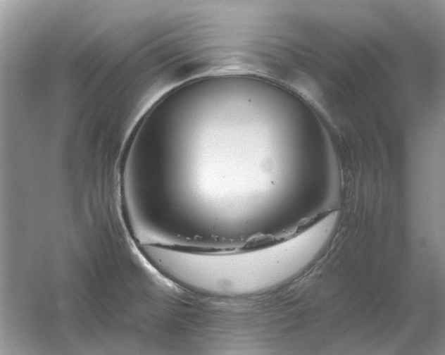 X0000061141476200511181155