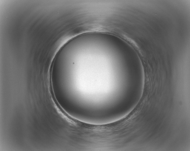 X0000061141479200511181155