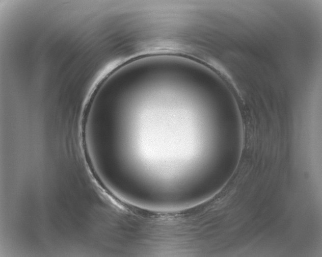 X0000061141480200511181155