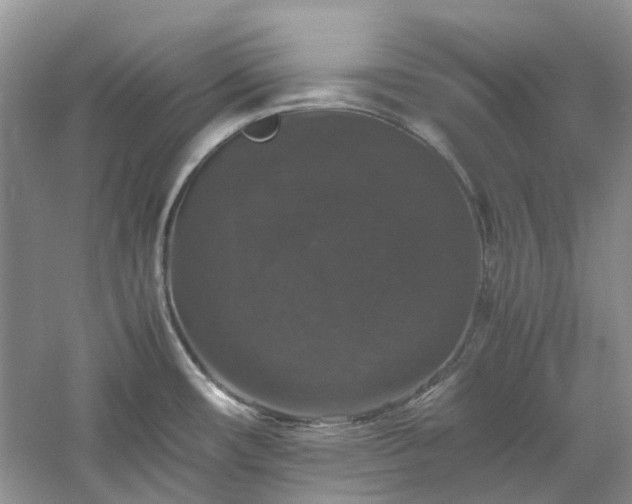 X0000061141482200511181155