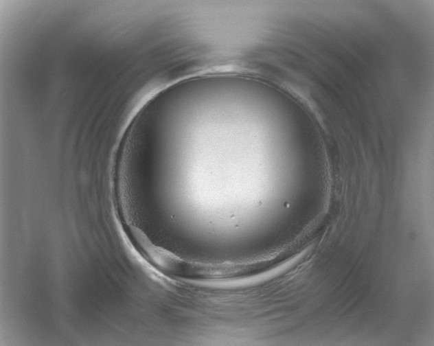 X0000061141483200511181155