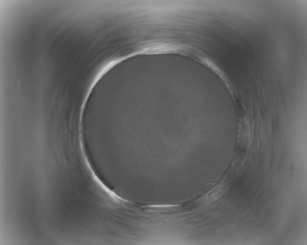 X0000061141487200511181154