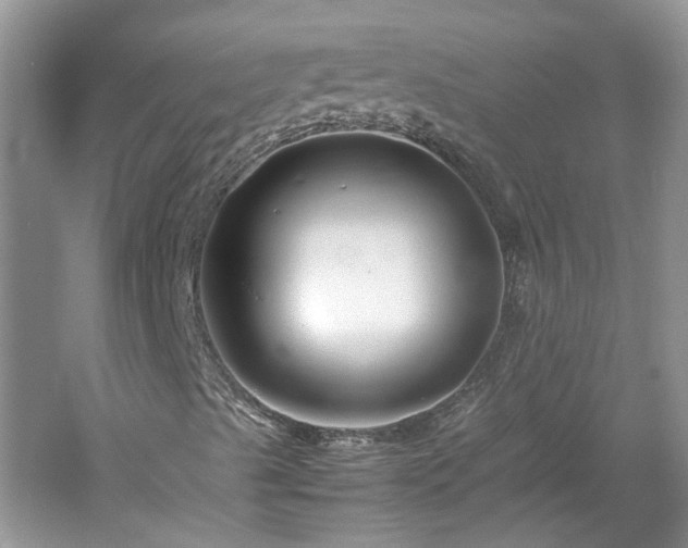 X0000061141489200511181154