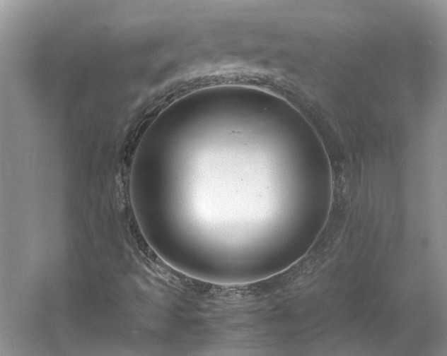 X0000061141493200511181154