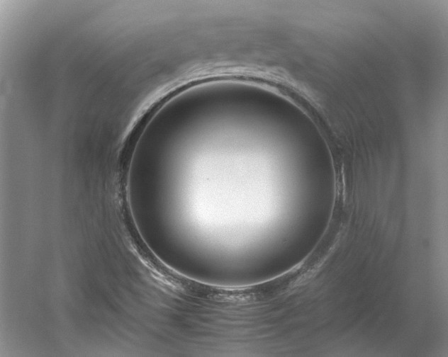 X0000061141501200511181154