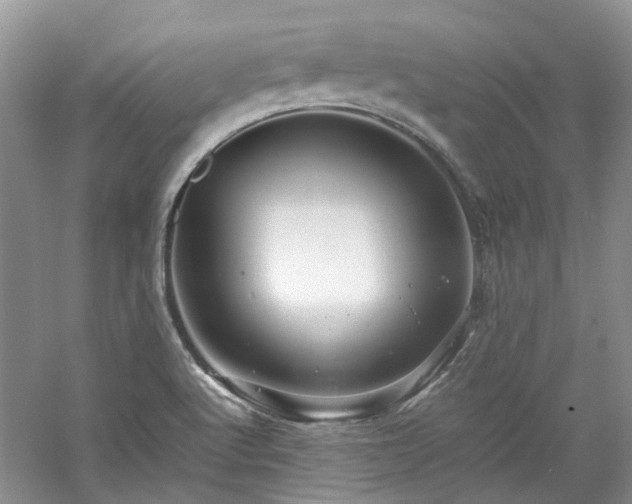 X0000061141512200511181154