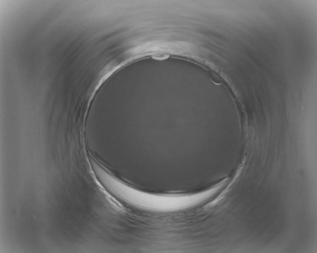 X0000061141529200511181154