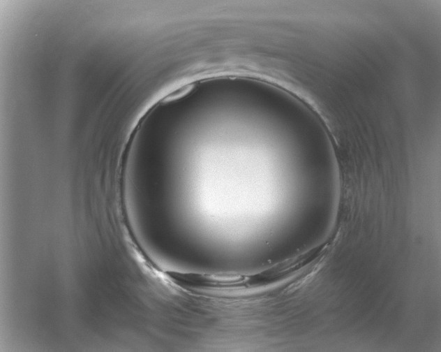 X0000061141534200511181154