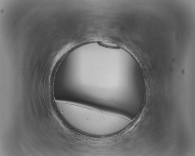 X0000061140008200511210947