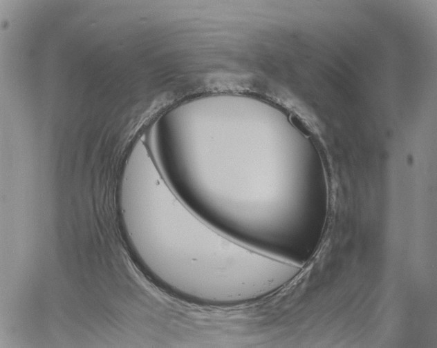 X0000061140009200511210947