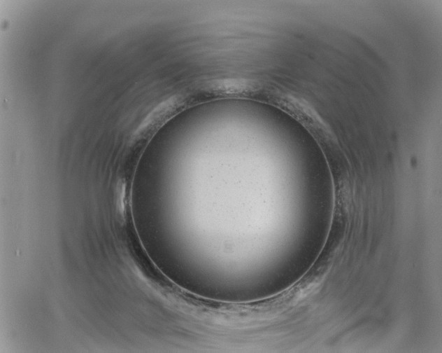X0000061140024200511210947