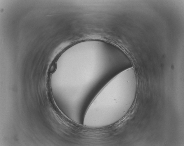 X0000061140104200511210946