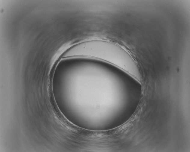 X0000061140152200511210944
