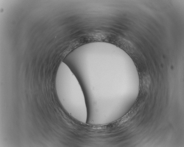 X0000061140177200511210945
