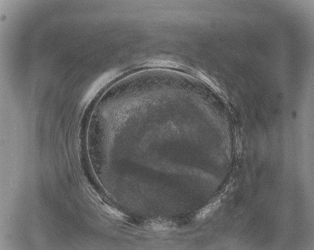 X0000061140199200511210944
