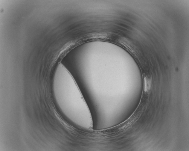 X0000061140253200511210943