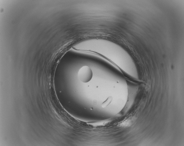 X0000061140356200511210941