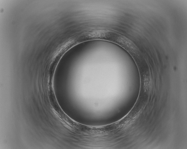 X0000061140490200511210939