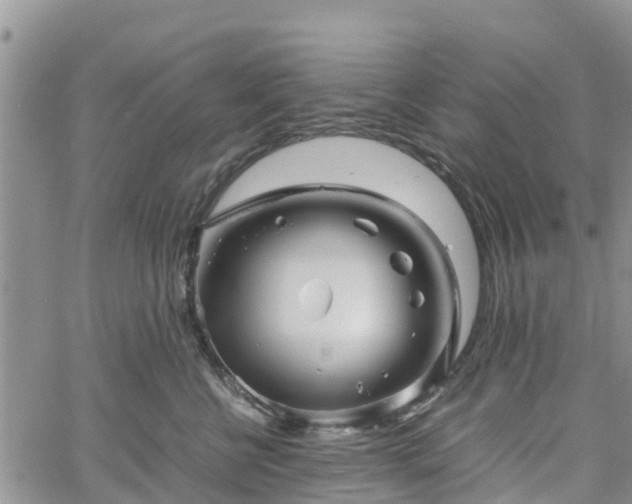 X0000061140570200511210938