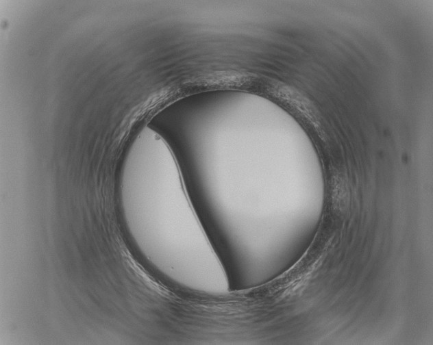 X0000061140633200511210936