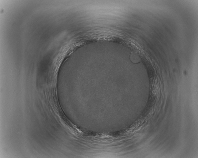 X0000061140695200511210936