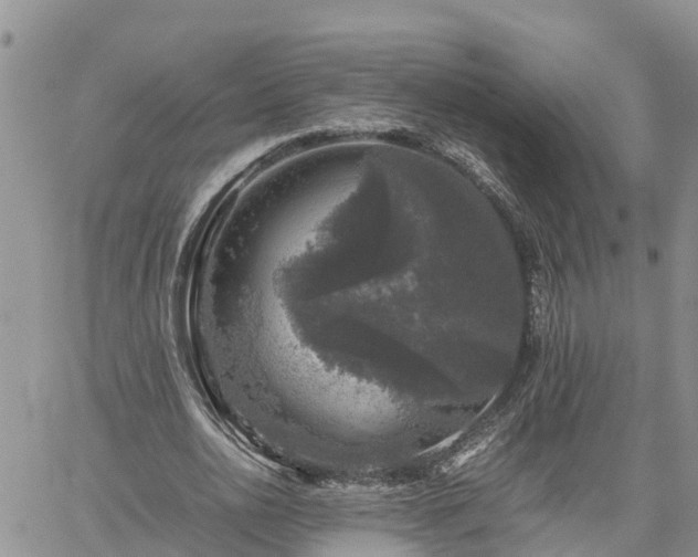 X0000061140726200511210935