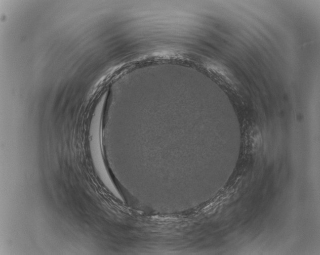 X0000061140776200511210934