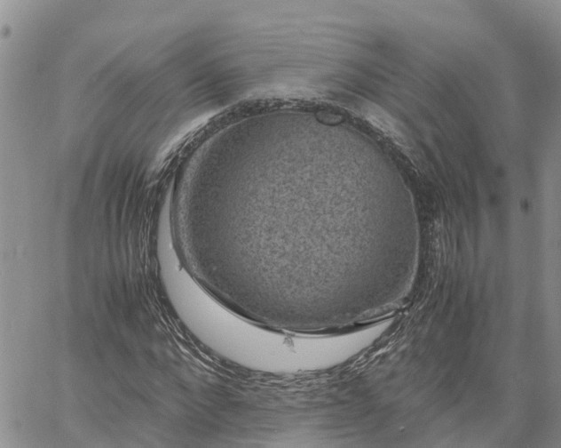 X0000061140872200511210933