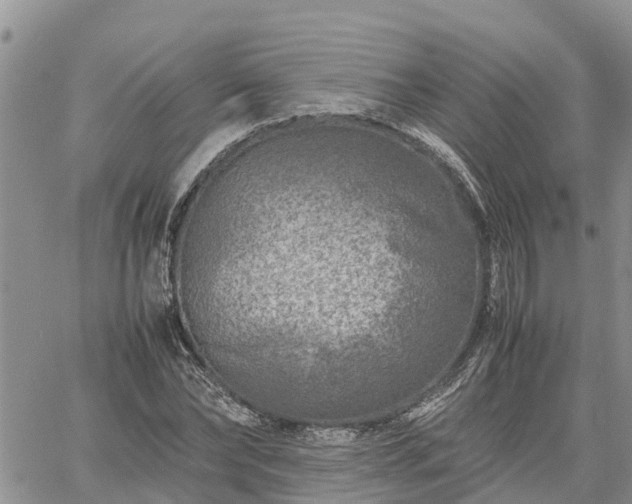 X0000061140878200511210933