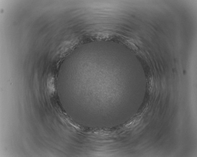 X0000061140962200511210931