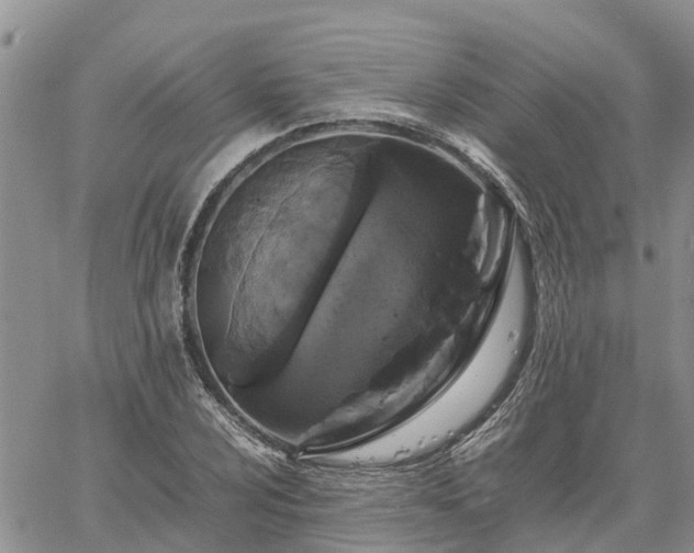 X0000061141024200511210930