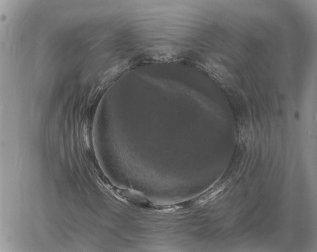 X0000061141106200511210928