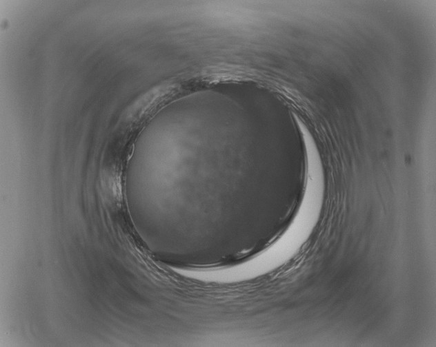 X0000061141155200511210928