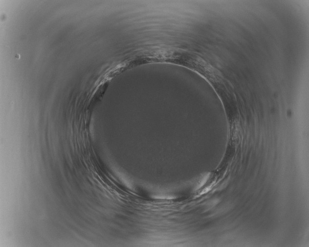 X0000061141202200511210926