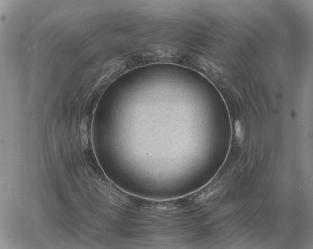 X0000061141203200511210926
