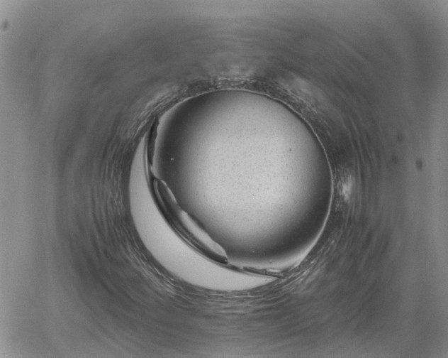 X0000061141252200511210926