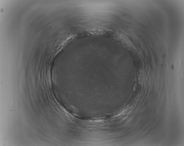 X0000061141298200511210925