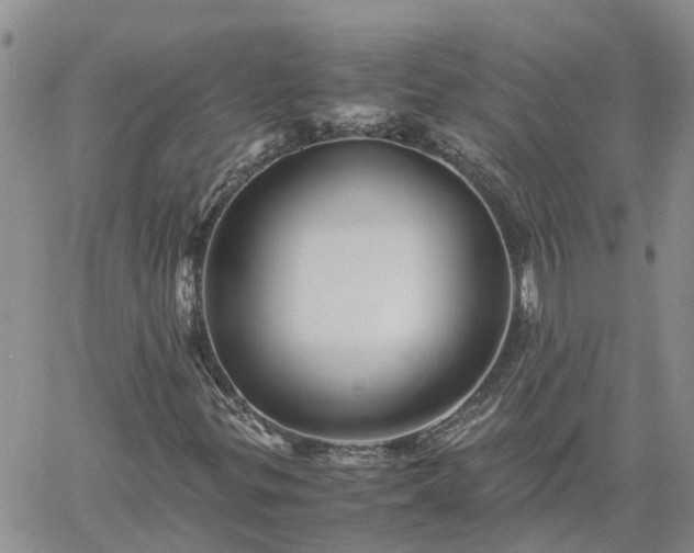 X0000061141299200511210925