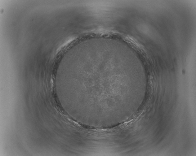 X0000061141302200511210925