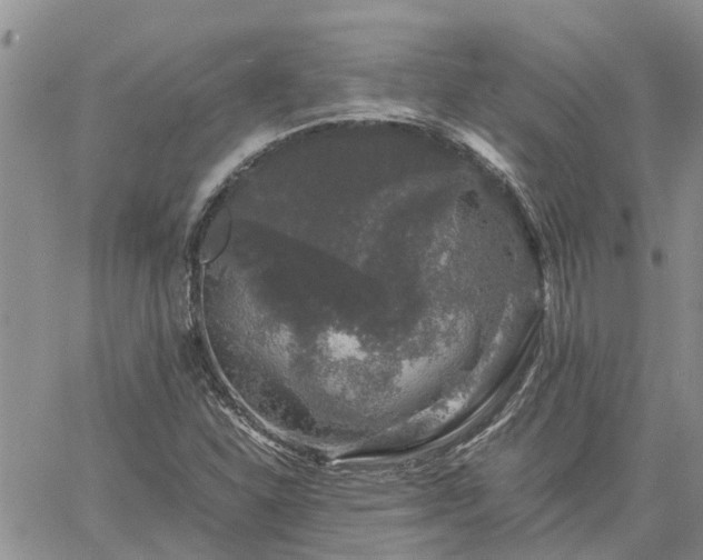 X0000061141310200511210925