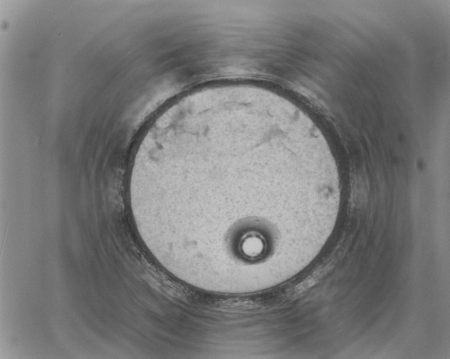 X0000061141314200511210925