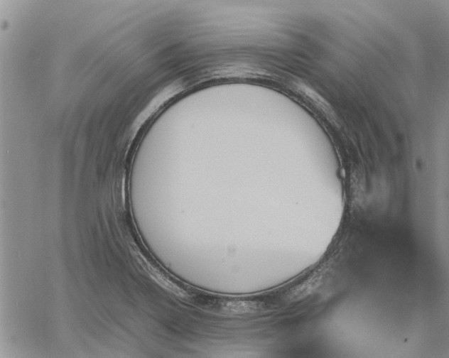 X0000061141322200511210925