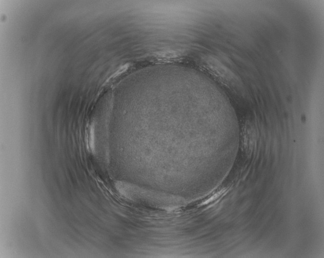 X0000061141346200511210925
