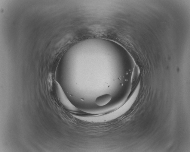 X0000061141347200511210925