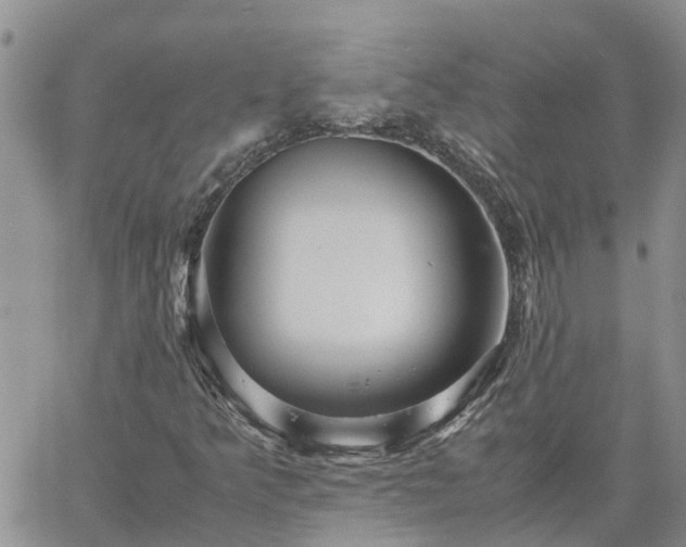 X0000061141349200511210925